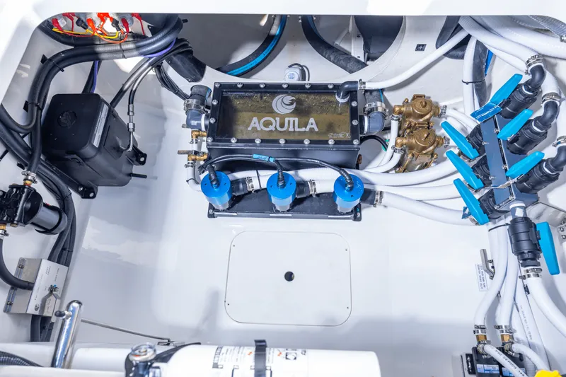 Slide: The Image of Aquila 47 Molokai 2025 - 60