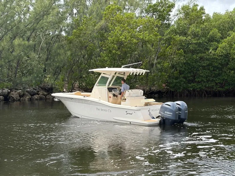 Slide: The Image of Scout 255 LXF 2018 - 7