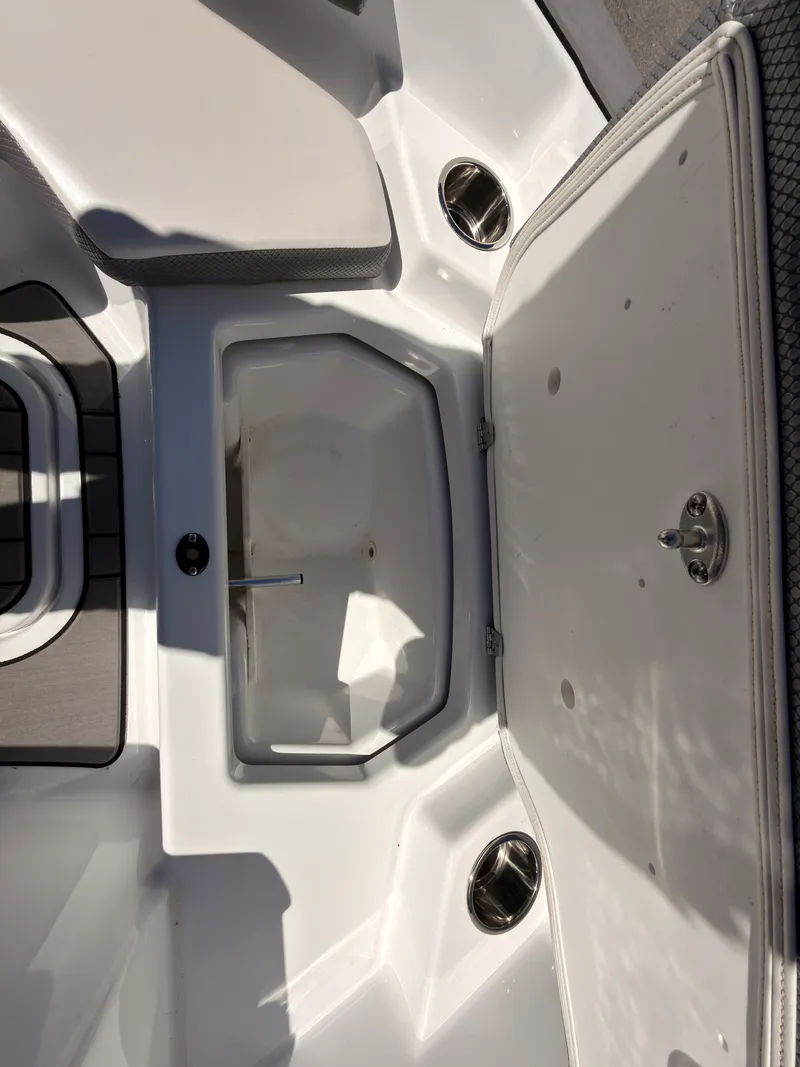 Slide: The Image of Scarab 165 ID 2021 - 22