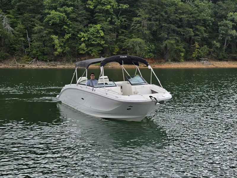 Slide: The Image of Sea Ray SDX 290 2022 - 13