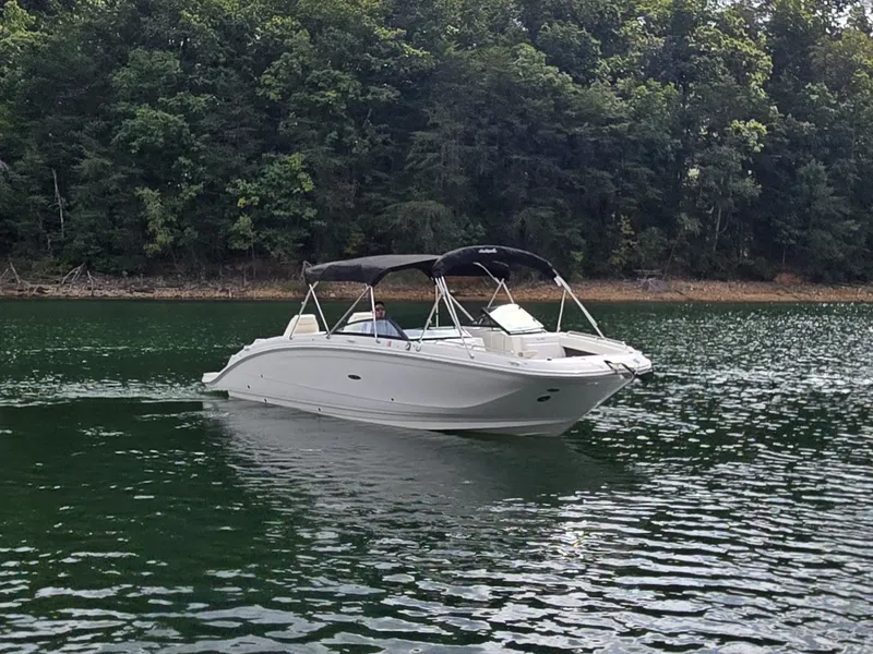 Slide: The Image of Sea Ray SDX 290 2022 - 14
