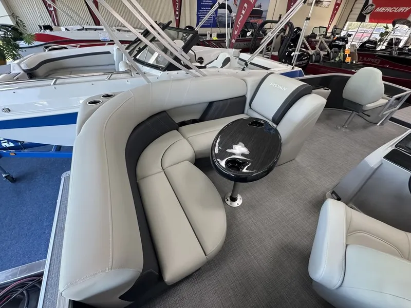 Slide: The Image of Sylvan MIRAGE 818 FISH 2026 - 20