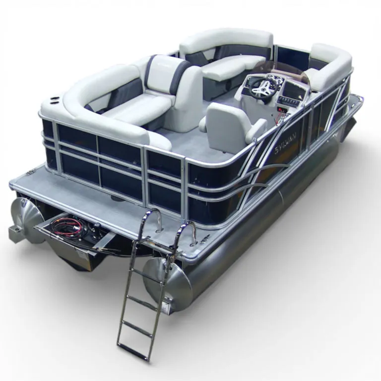 Slide: The Image of Sylvan MIRAGE 818 CRS 2026 - 18