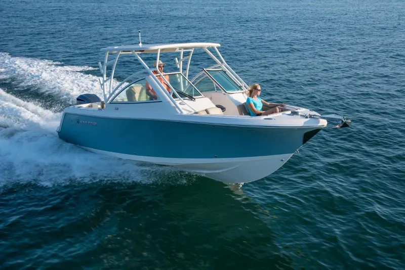 The Image of Sailfish 245 DC 2023 - 0