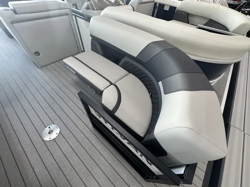 Slide: The Image of Sylvan L3 Party Fish 2026 - 3