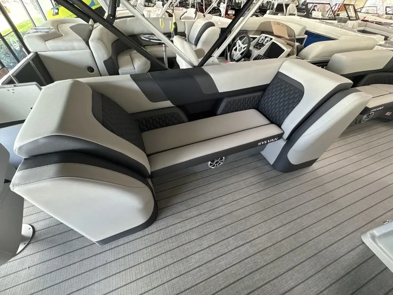 Slide: The Image of Sylvan L3 Party Fish 2026 - 17