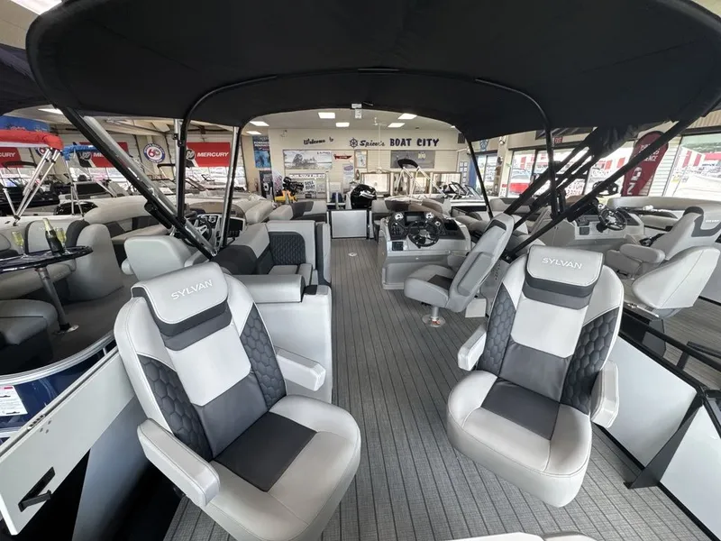 Slide: The Image of Sylvan L3 Party Fish 2026 - 30