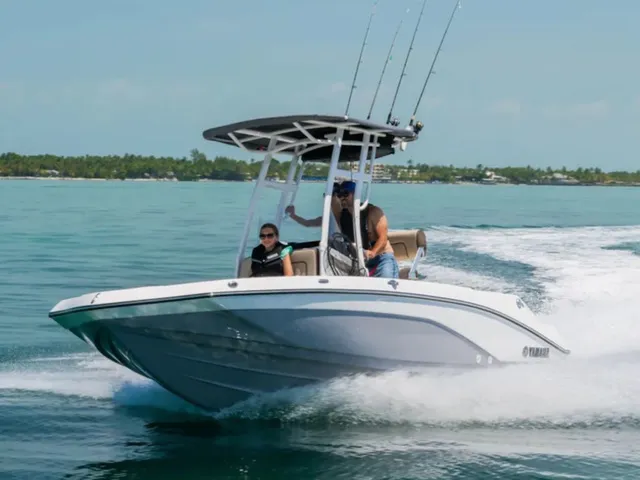 Slide: The Image of Yamaha 195 FSH® Sport 2027 - 3