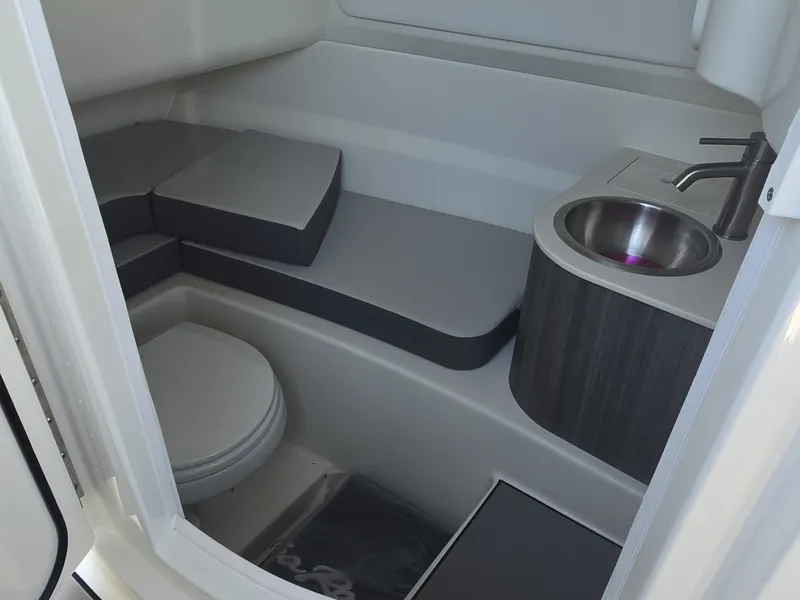 Slide: The Image of Sea Ray SDX 250 Surf 2027 - 29