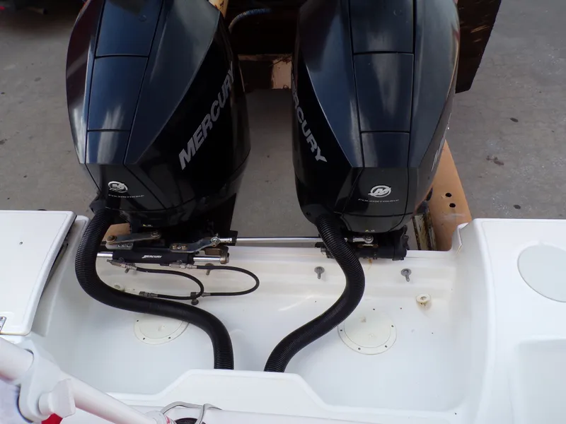 Slide: The Image of Boston Whaler 250 OUTRAGE 2019 - 19