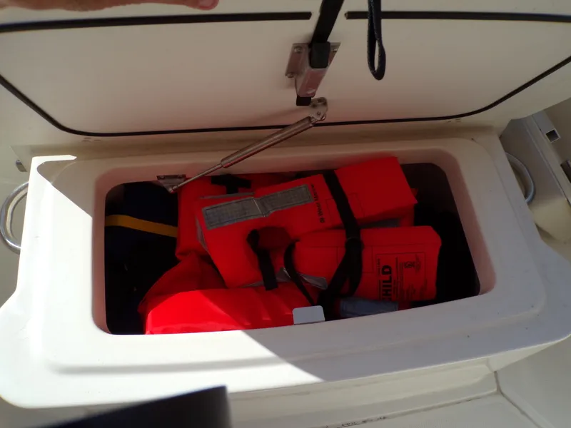 Slide: The Image of Boston Whaler 250 OUTRAGE 2019 - 42