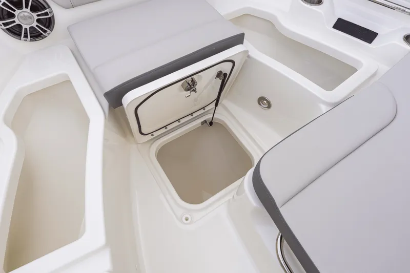 Slide: The Image of Sea Ray SDX 250 Outboard 2027 - 9