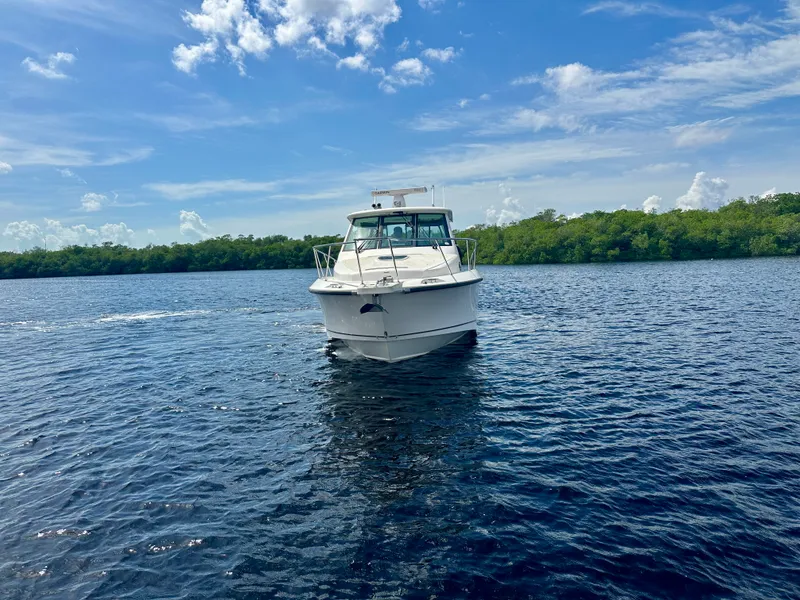 Slide: The Image of Boston Whaler 345 CONQUEST 2012 - 4