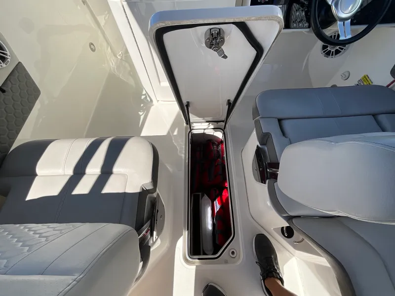 Slide: The Image of Sea Ray 250 SDX OB 2021 - 14