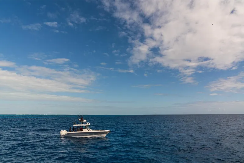 Slide: The Image of Boston Whaler 360 Outrage 2026 - 149