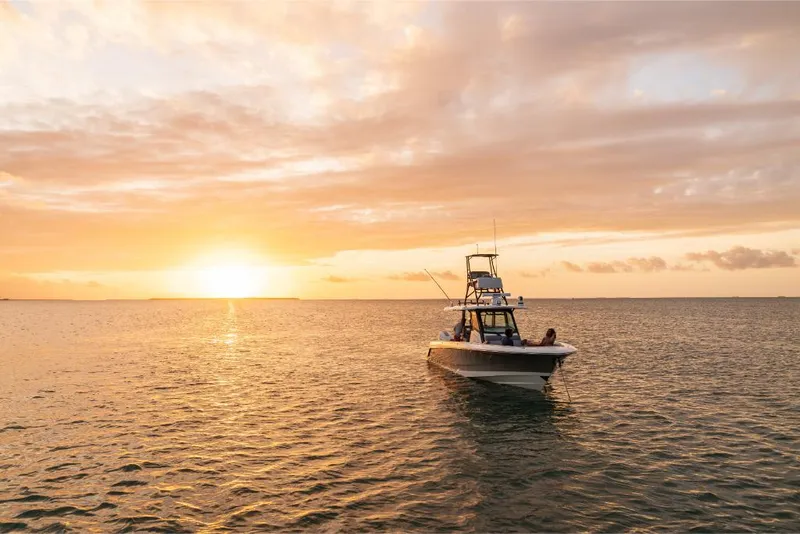 Slide: The Image of Boston Whaler 360 Outrage 2026 - 135