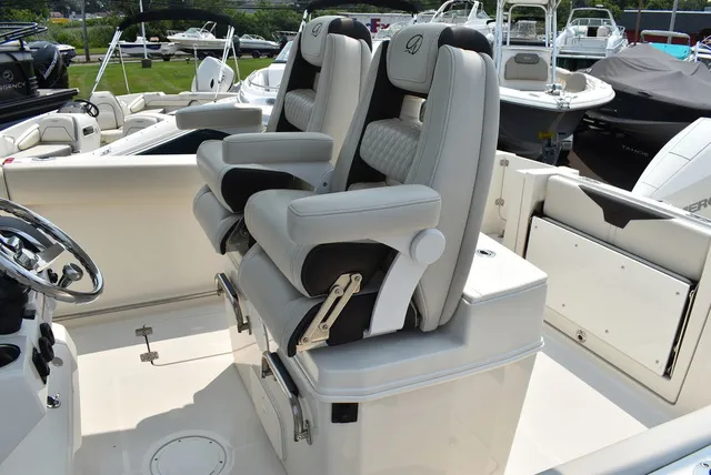 Slide: The Image of Sailfish® 272 CC 2024 - 36