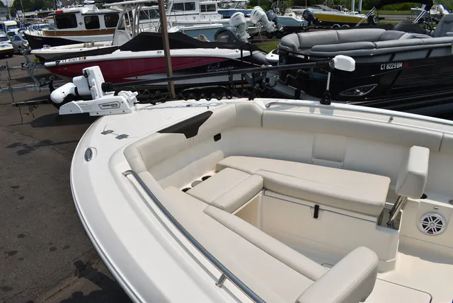 Slide: The Image of Sailfish® 272 CC 2024 - 33