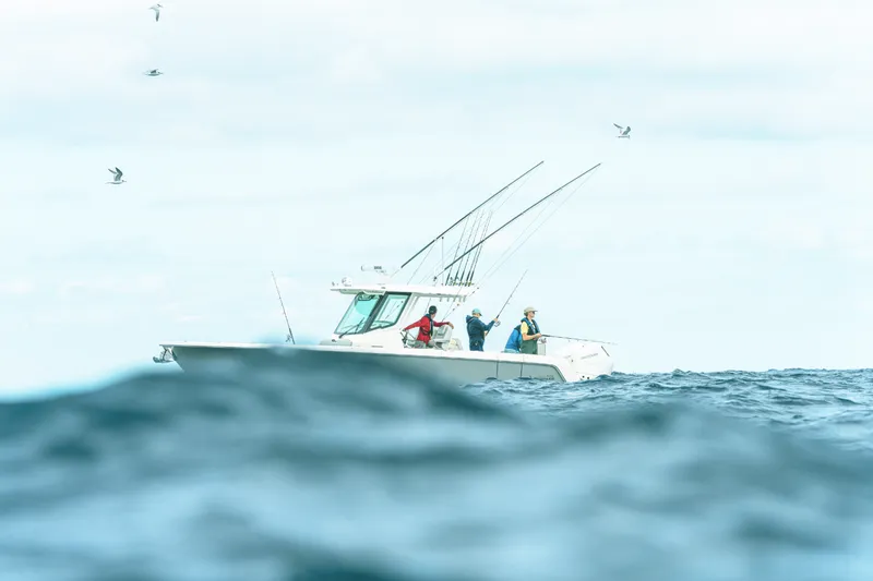 Slide: The Image of Boston Whaler 330 Outrage 2027 - 22