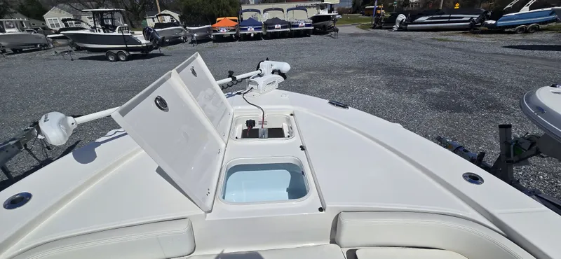 Slide: The Image of Robalo R246 2024 - 20