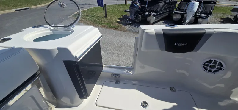 Slide: The Image of Robalo R250 2024 - 14