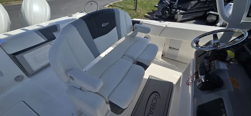 Slide: The Image of Robalo R250 2024 - 10