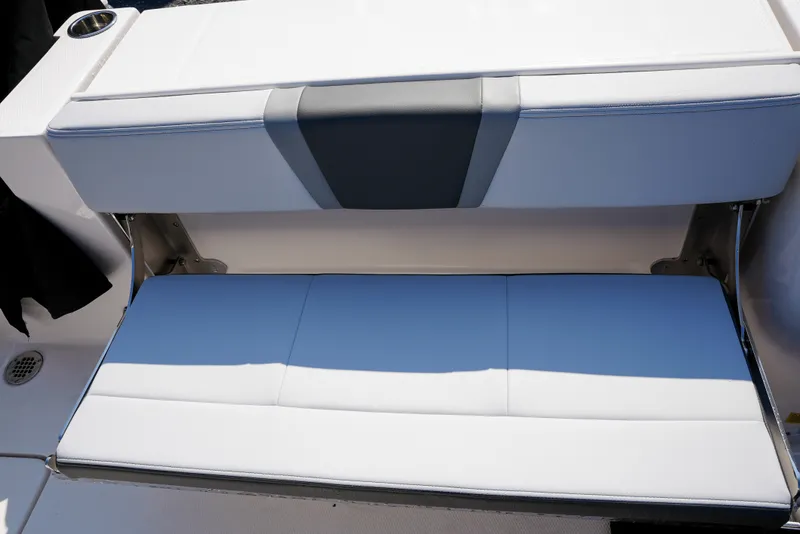 Slide: The Image of Robalo R250 2025 - 45