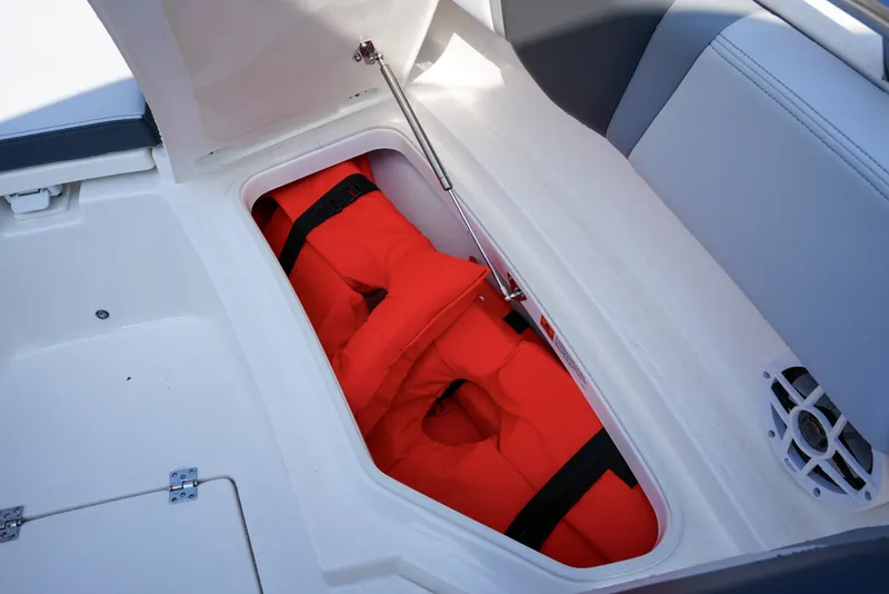 Slide: The Image of Robalo R250 2025 - 24