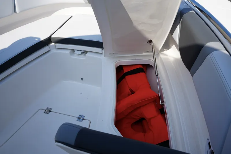 Slide: The Image of Robalo R250 2025 - 25