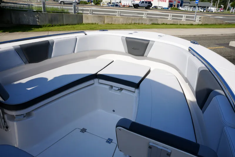 Slide: The Image of Robalo R250 2025 - 5