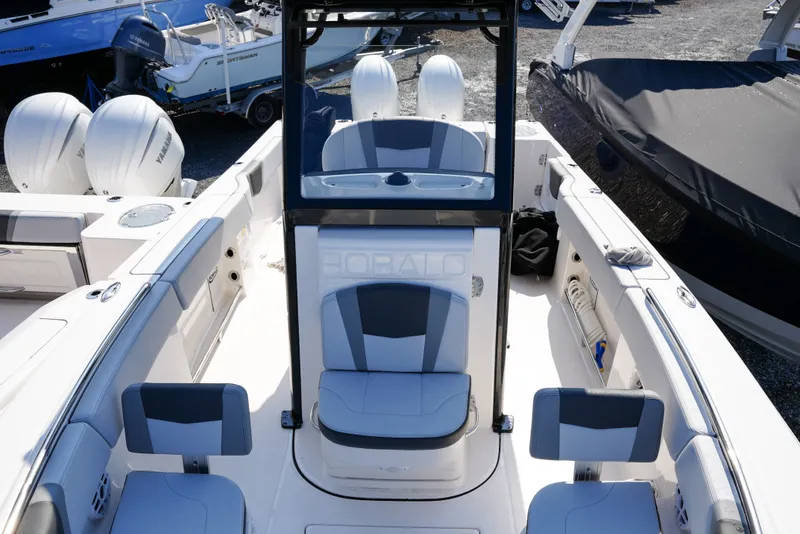 Slide: The Image of Robalo R250 2025 - 10