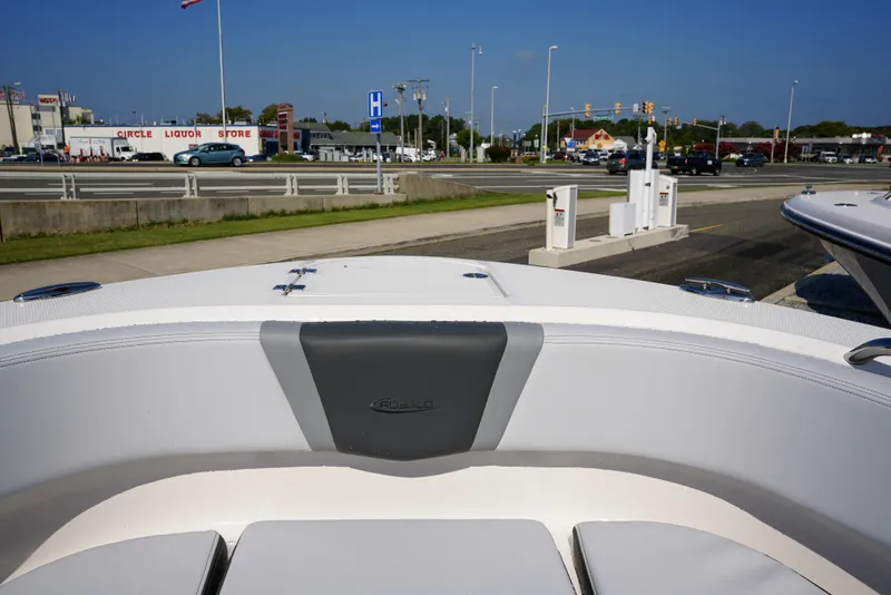Slide: The Image of Robalo R250 2025 - 7