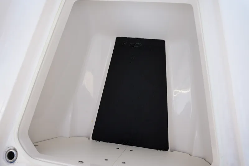 Slide: The Image of Robalo R250 2025 - 21