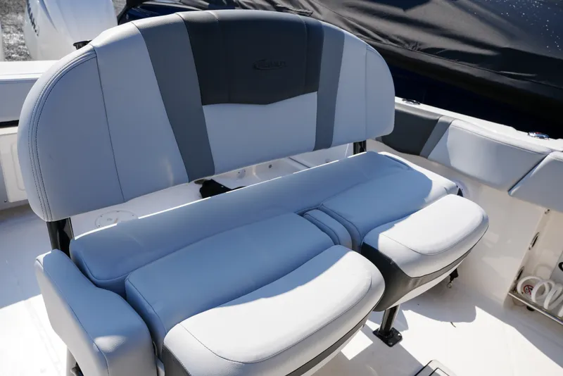 Slide: The Image of Robalo R250 2025 - 2
