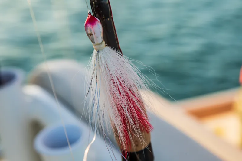 Slide: The Image of Boston Whaler 210 Montauk 2027 - 57