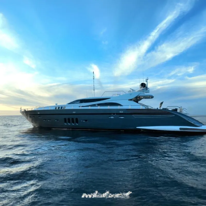 The Image of Arno Leopard 34 2008 - 0