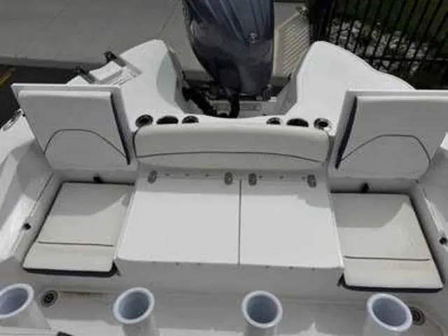 Slide: The Image of Stingray 236CC 2026 - 8