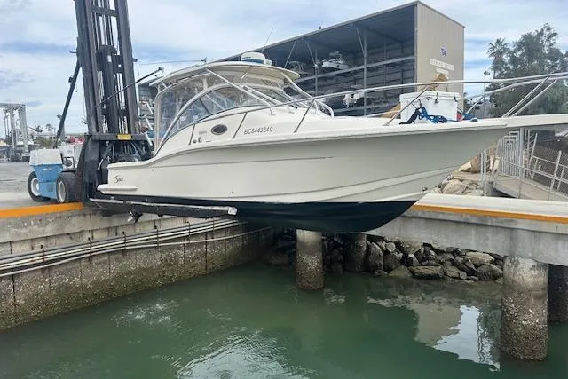 The Image of Scout 295 Abaco 2008 - 0