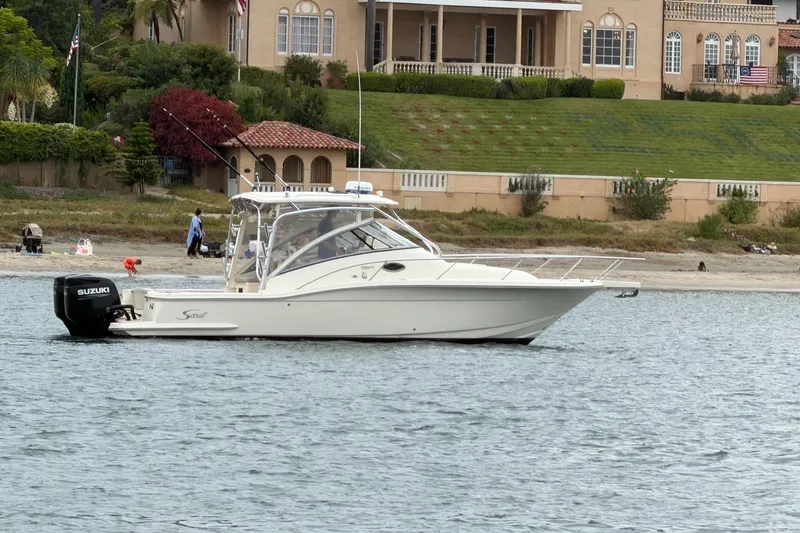 The Image of Scout 295 Abaco 2008 - 2