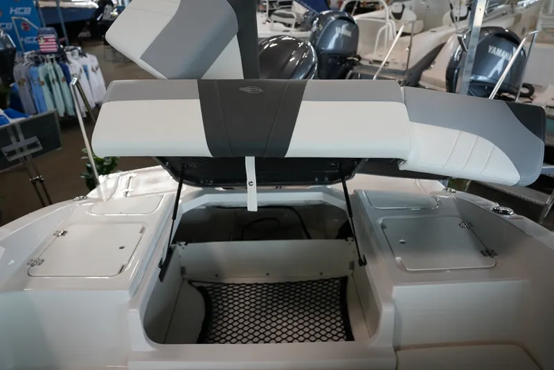 Slide: The Image of Chaparral 21SSIOB 2025 - 10