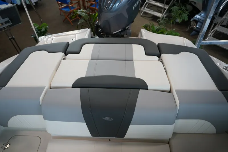 Slide: The Image of Chaparral 21SSIOB 2025 - 11