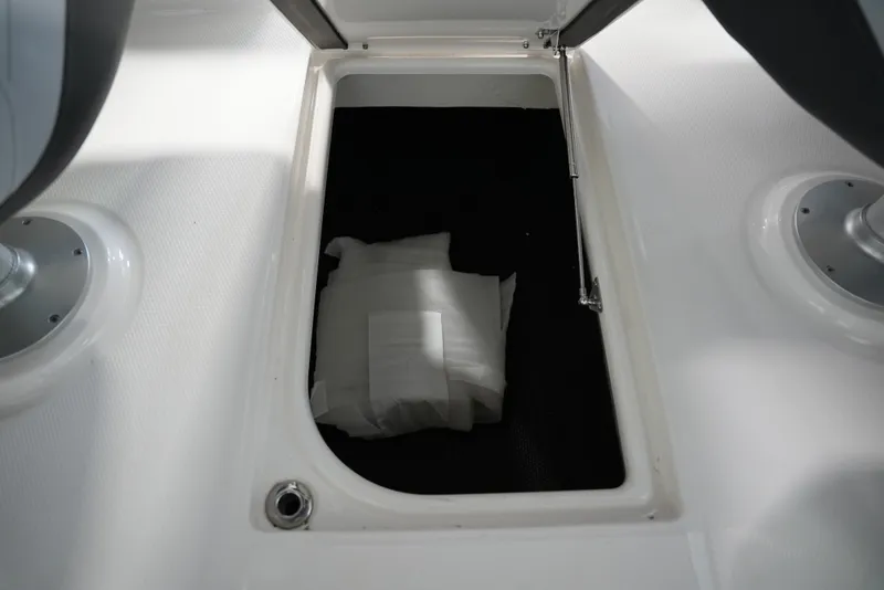 Slide: The Image of Chaparral 267SSX 2025 - 43
