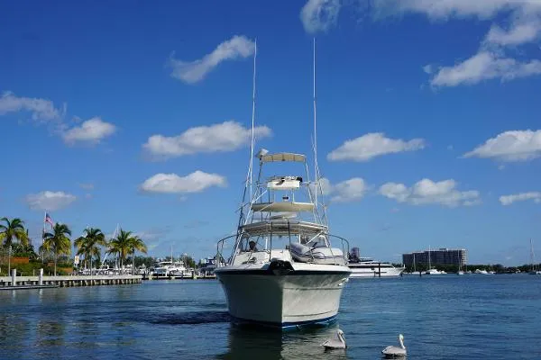 Slide: The Image of Hatteras 36 Convertible 1985 - 14