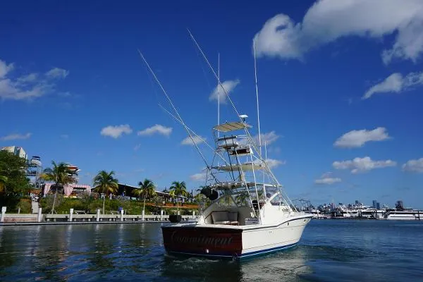 Slide: The Image of Hatteras 36 Convertible 1985 - 5