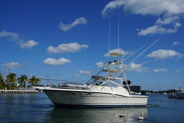 Slide: The Image of Hatteras 36 Convertible 1985 - 15