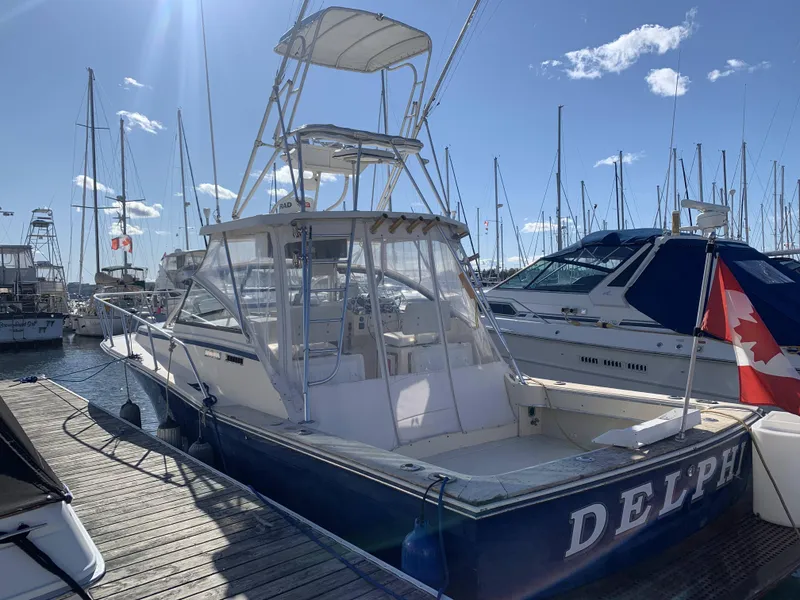 The Image of Atlantic Sportfish Express 34 1990 - 0
