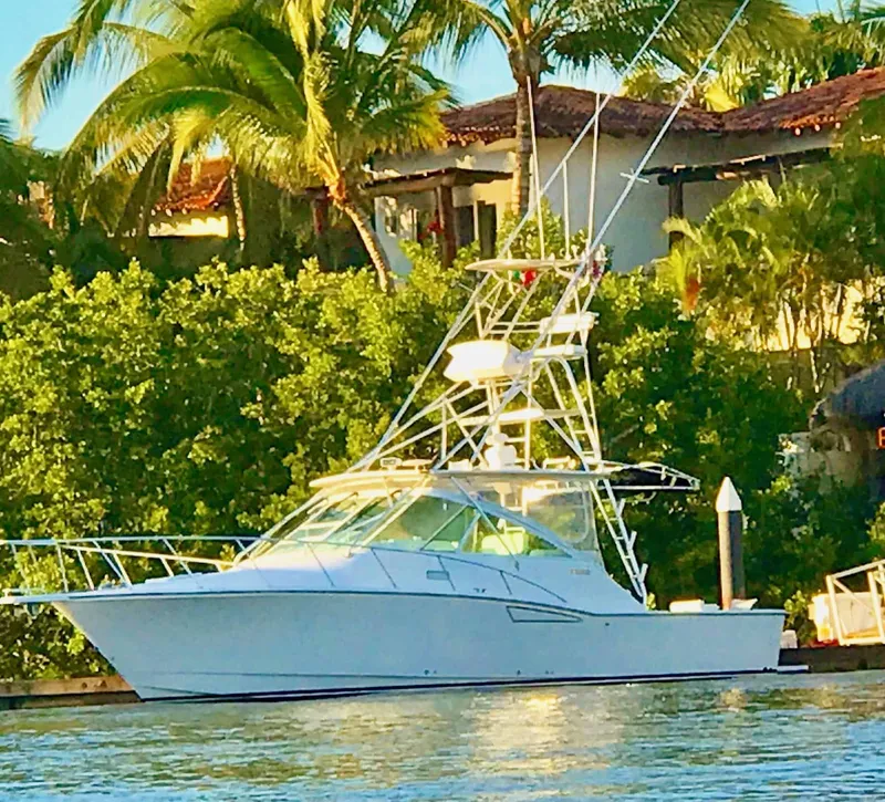 The Image of Cabo 35 Express 2005 - 0