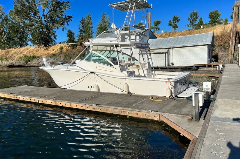 Slide: The Image of Luhrs 36 Open 2003 - 40