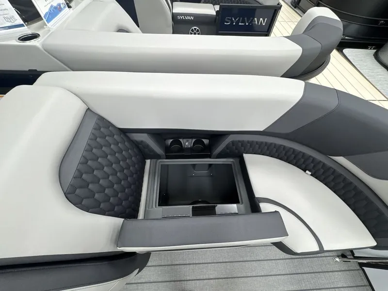 Slide: The Image of Sylvan L3 DLZ 2026 - 11