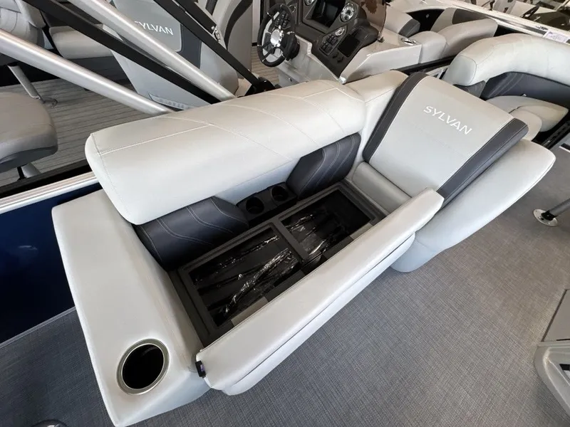 Slide: The Image of Sylvan MIRAGE 8520 PARTY FISH 2026 - 21